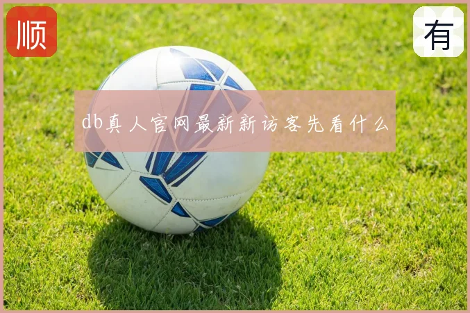 db真人官网最新新访客先看什么