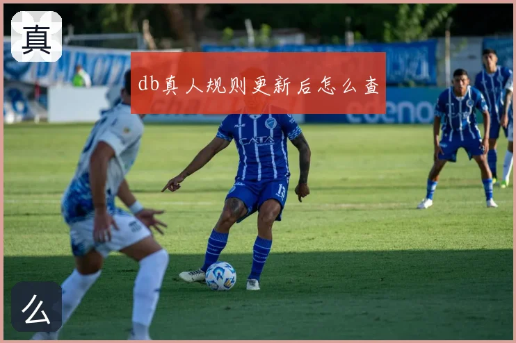 db真人规则更新后怎么查